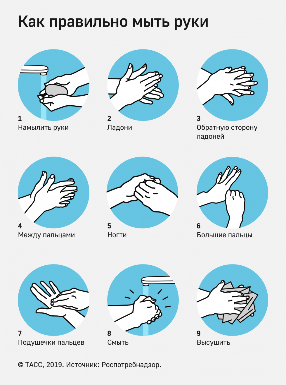Инструкция и правила мытья рук на пищевых предприятиях